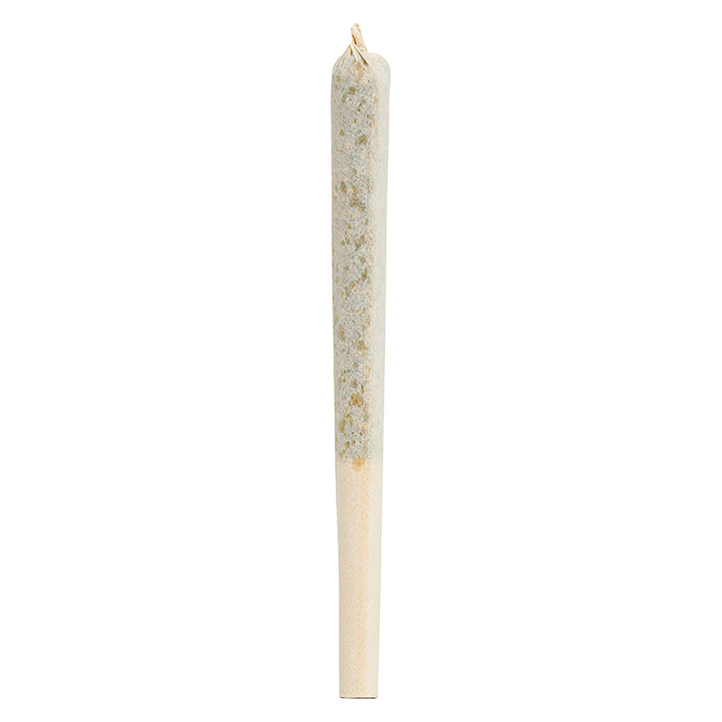 Préroulé BC Organic White Rainbow - 