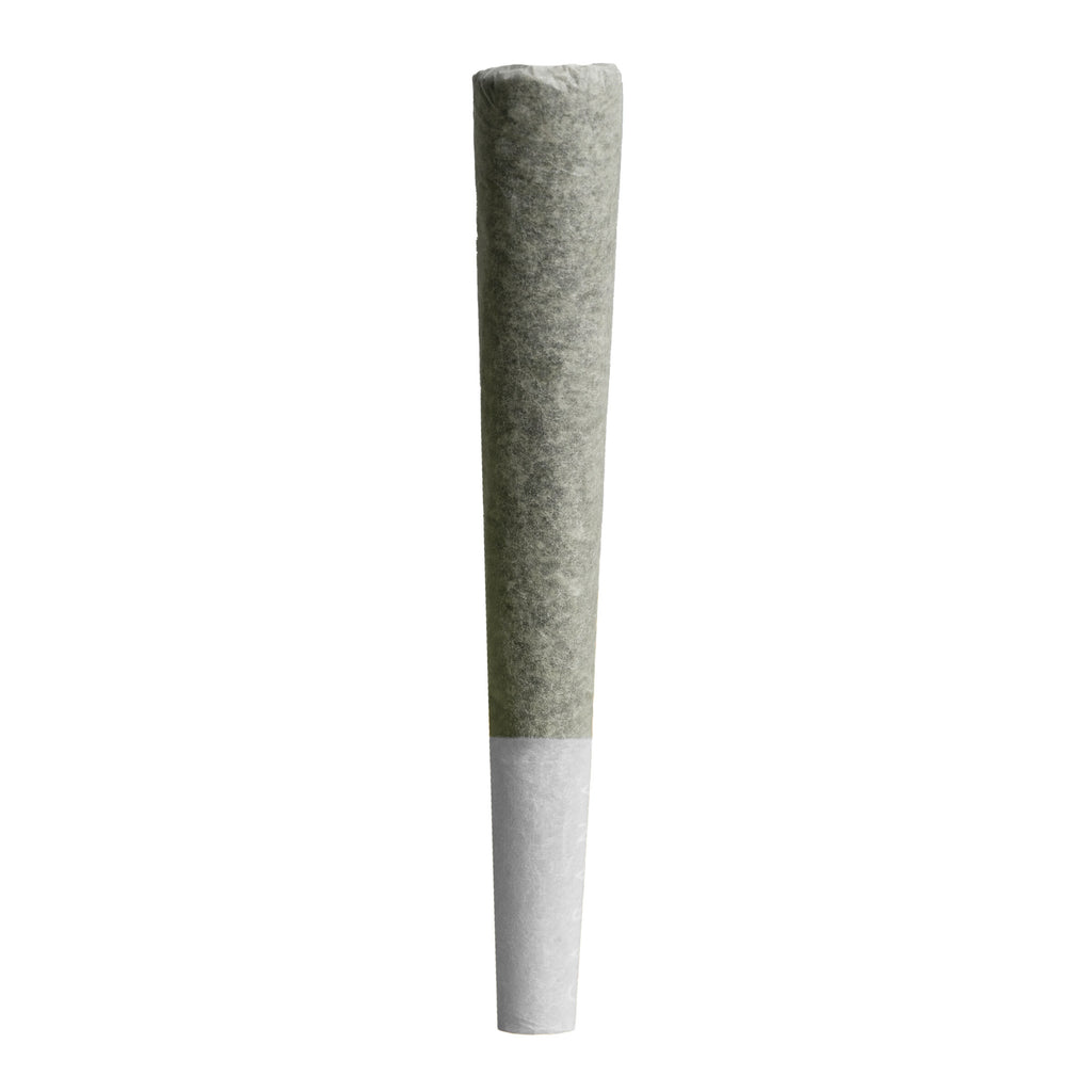 Série de l'éleveur - Préroulé de Cactus Genetics - 