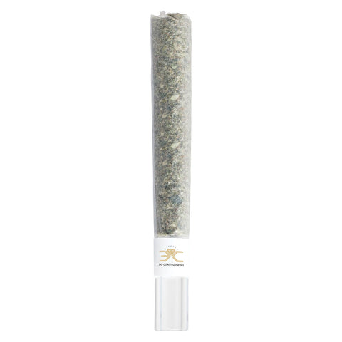 Photo Tagalongz Glass Tip Pre-roll