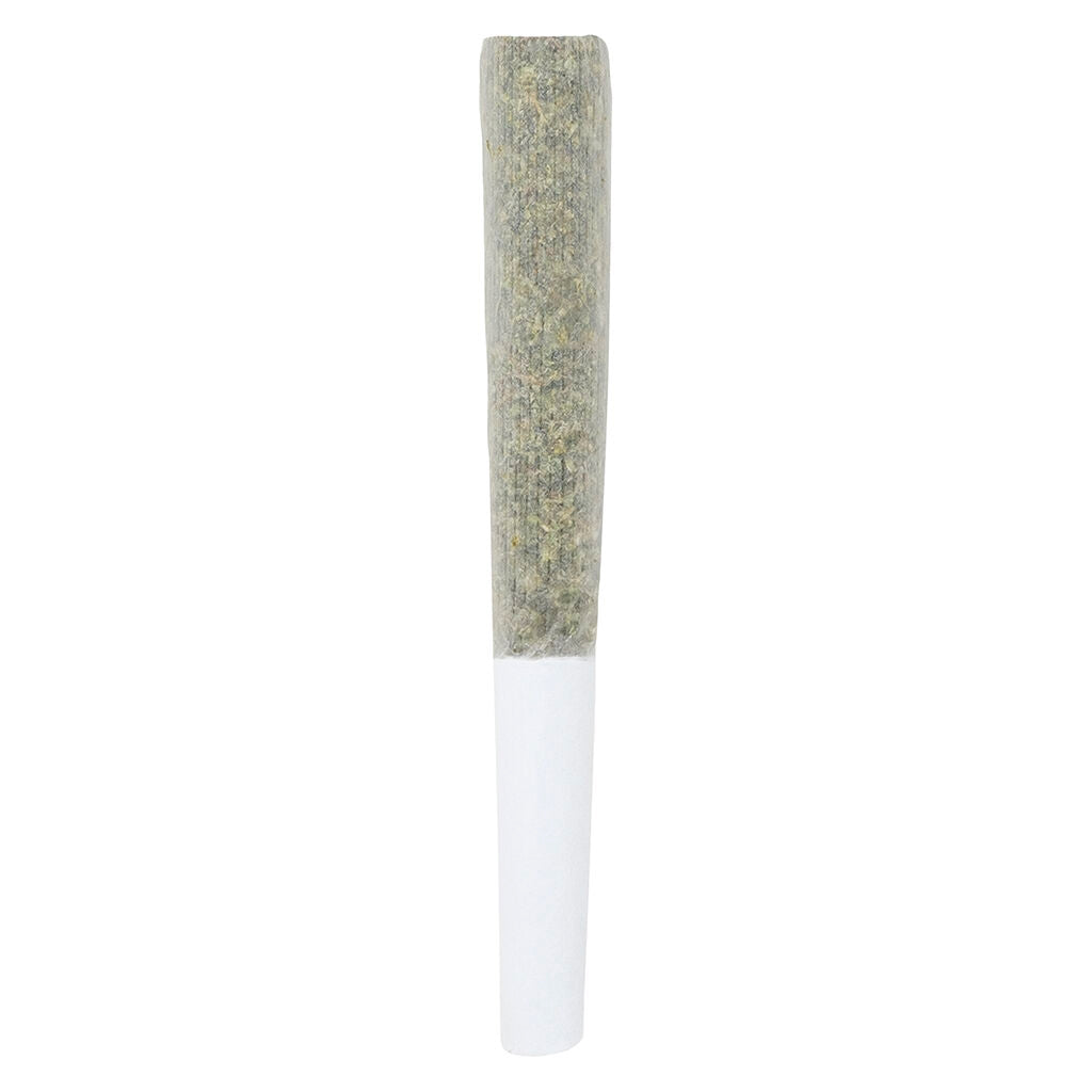 Black Truffle Pre-Roll - 