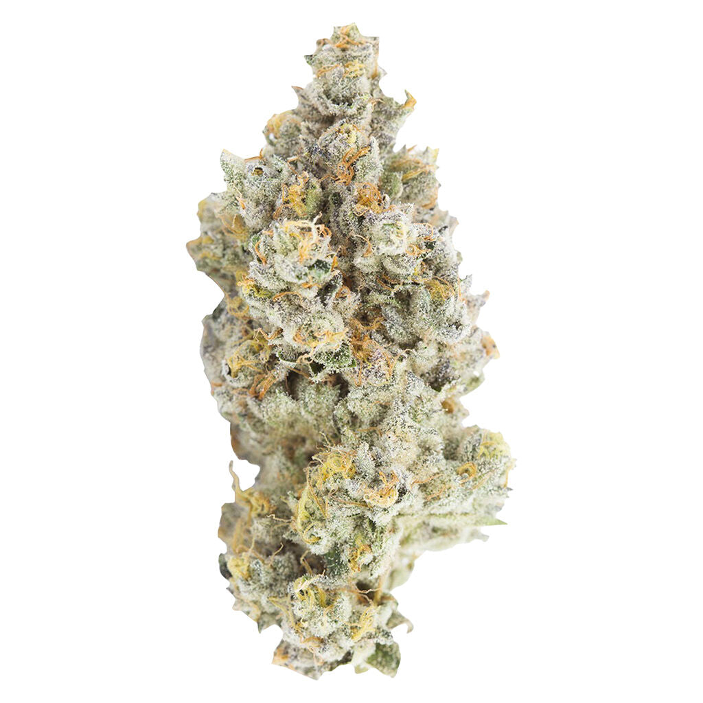 Sativa - 