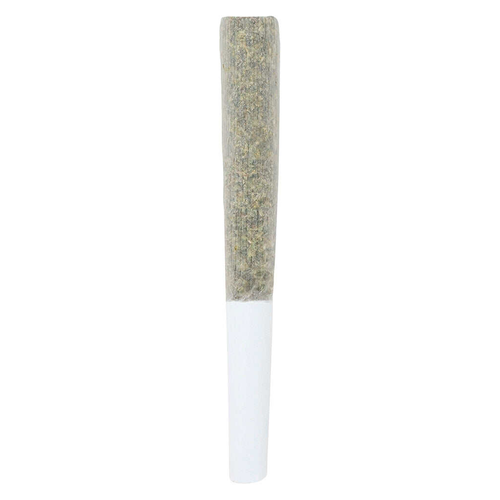 Préroulé AAA+ Sativa - 