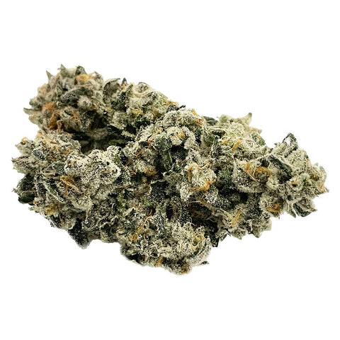 Photo Gas Pack