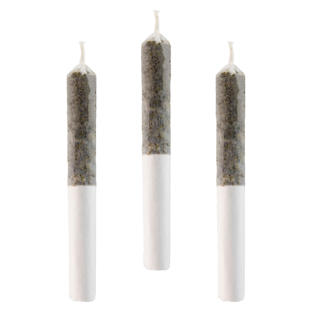 Préroulé infusé à la colophane de haschisch Narang Tang - 