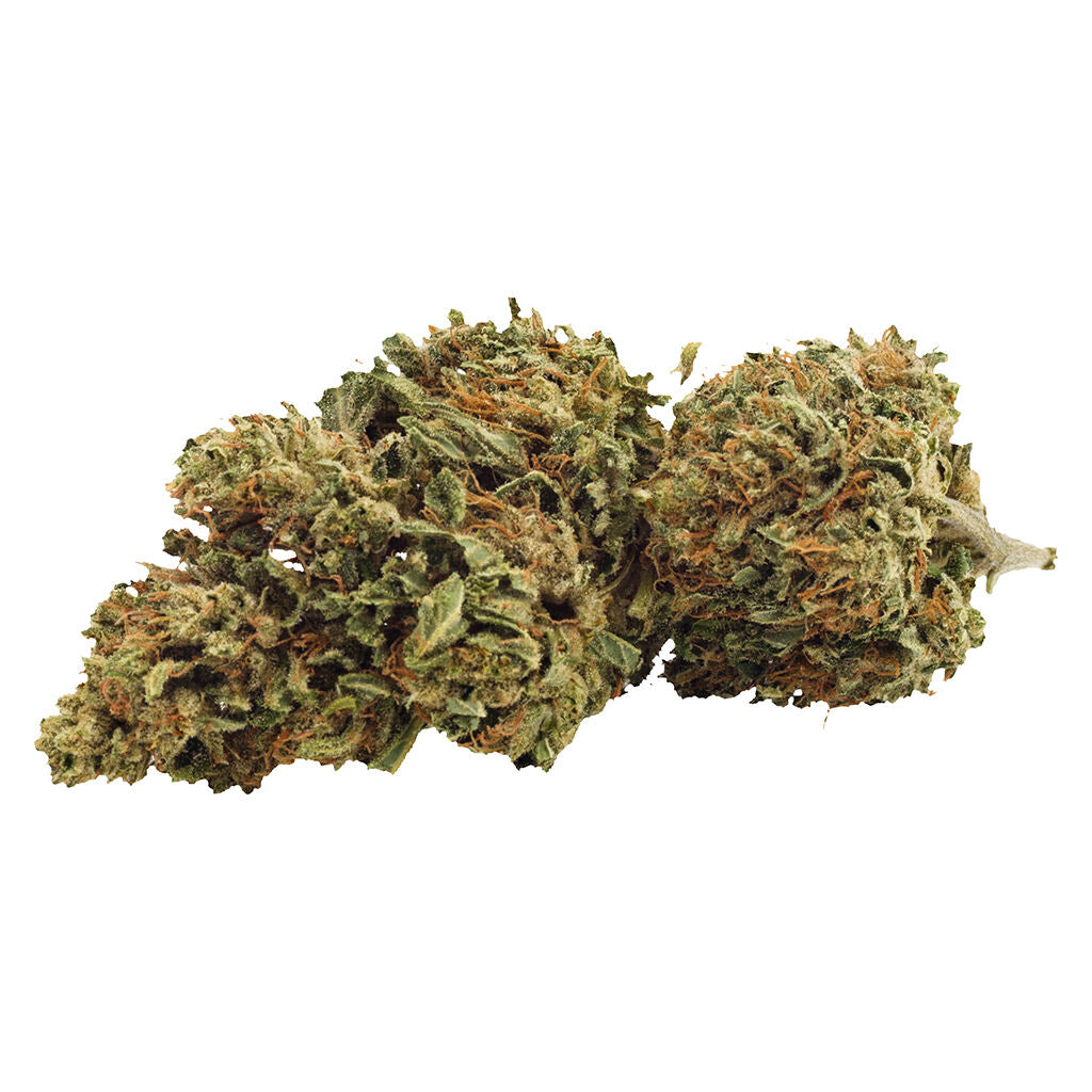 Fleur CBD infusée Day Dreamin' - 