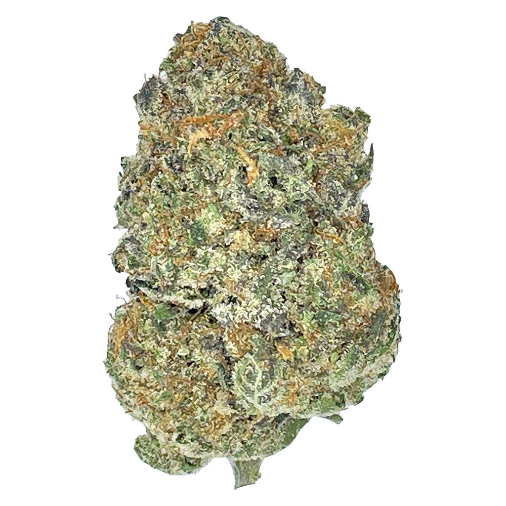 Partake Orange Squeeze - 