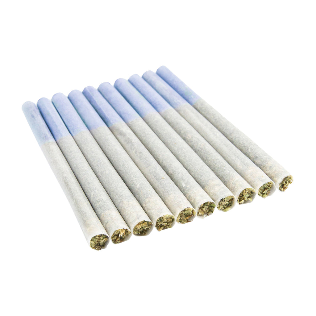 Préroulé Blue - 