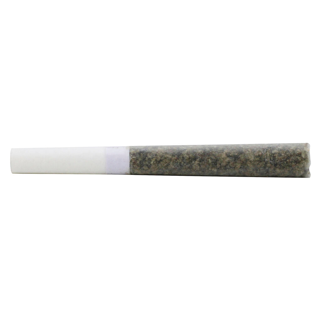 Préroulé à l’embout au charbon Smoothies (Indica) - 