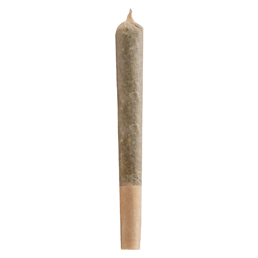Pré-roll BC God Bud - 