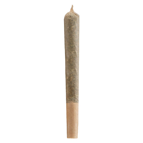 Photo Pré-roll BC God Bud