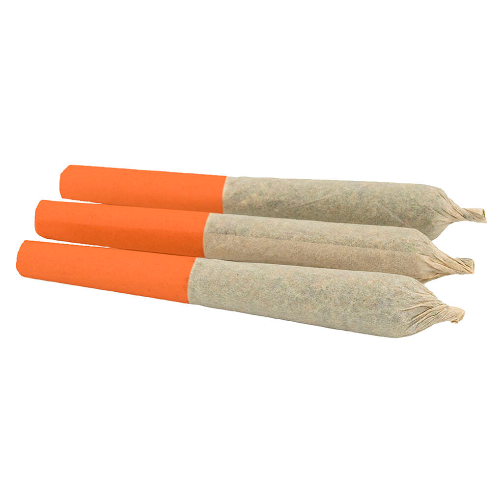 Préroulé infusé Vanilla Mello - 
