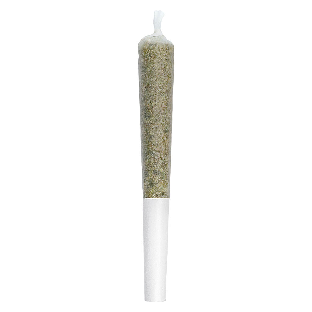 Préroulé Jumbo Jar of Js BC Purple Kush - 