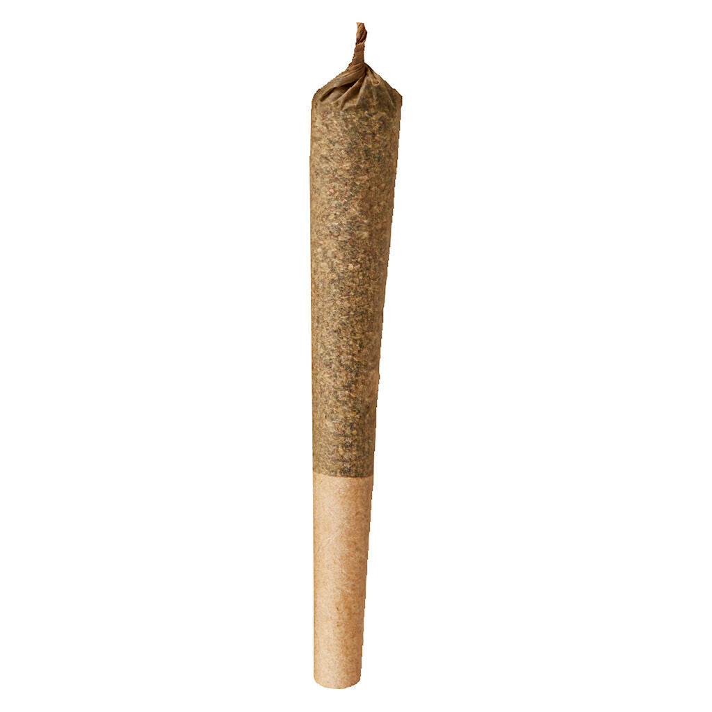 Préroulé Papaya Fiyah - 