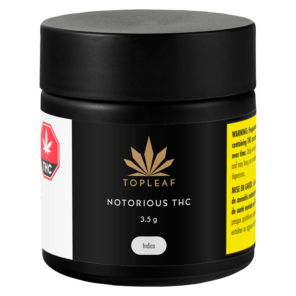 Notorious THC - 