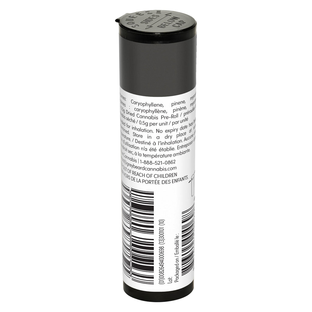 Préroulé Critical Diesel - 