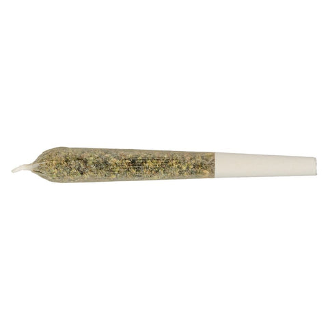 Photo Blend 14 Pre-Roll