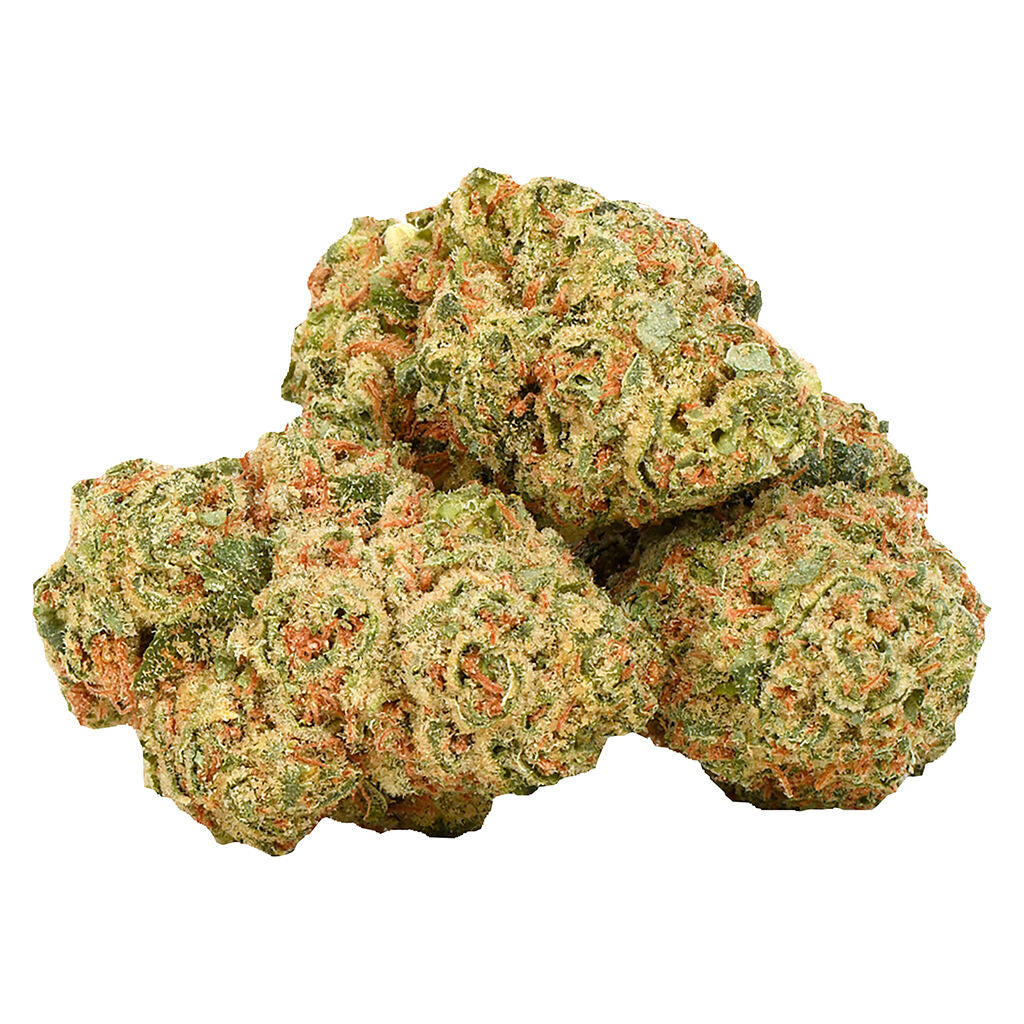 Rotterdam Indica - 