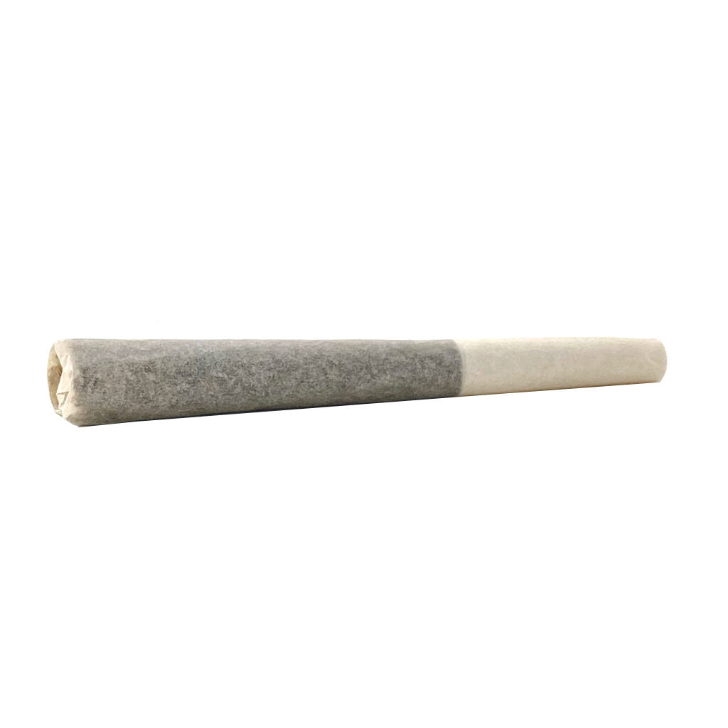 Préroulé infusé IC Infusion - 
