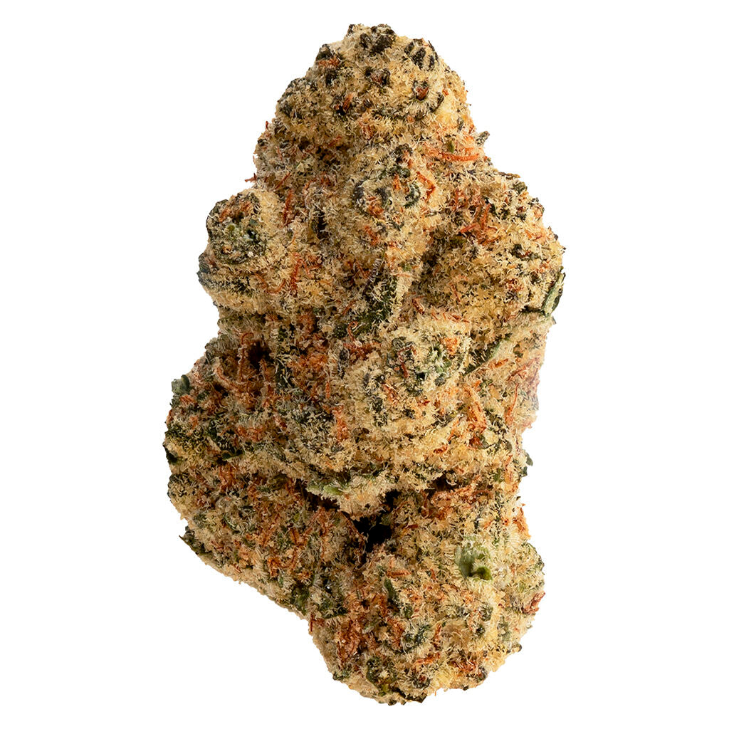 # Secret Stash - 