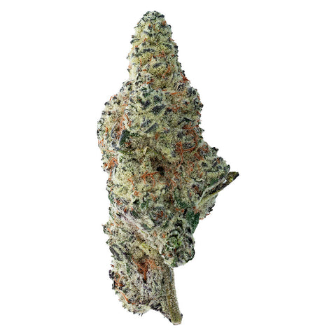 Photo Tropicana Cookies