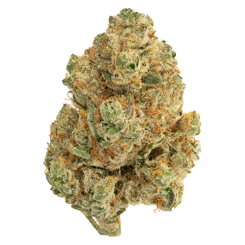 Venom OG - 
