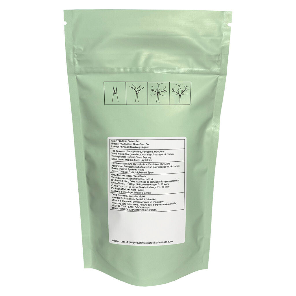Guavas 74 Craft Fleur entière - 