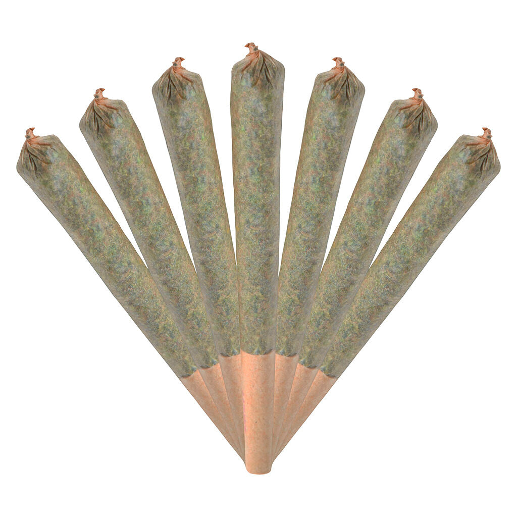 Préroulé Cobra Chicken Smiggies - 