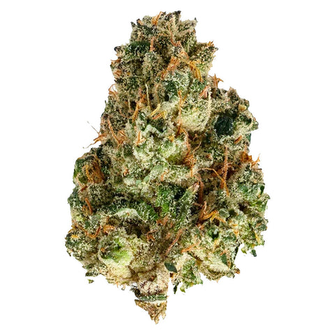 Photo OGKB x Lost Sailor x Platinum Kush