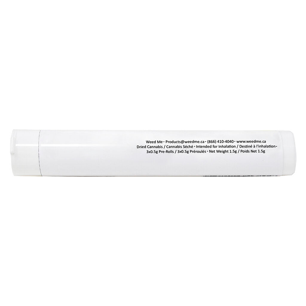 Préroulé Maple Rntz - 