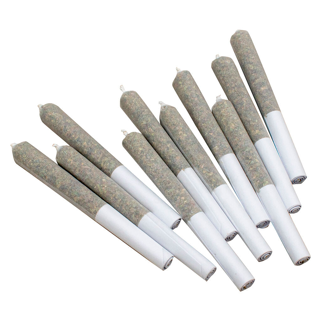Préroulé Indica - 