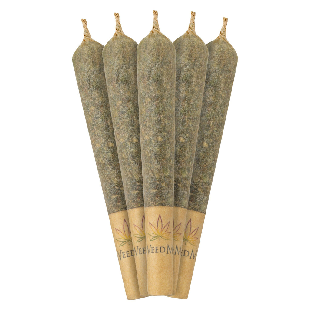 Préroulé Maple Rntz - 