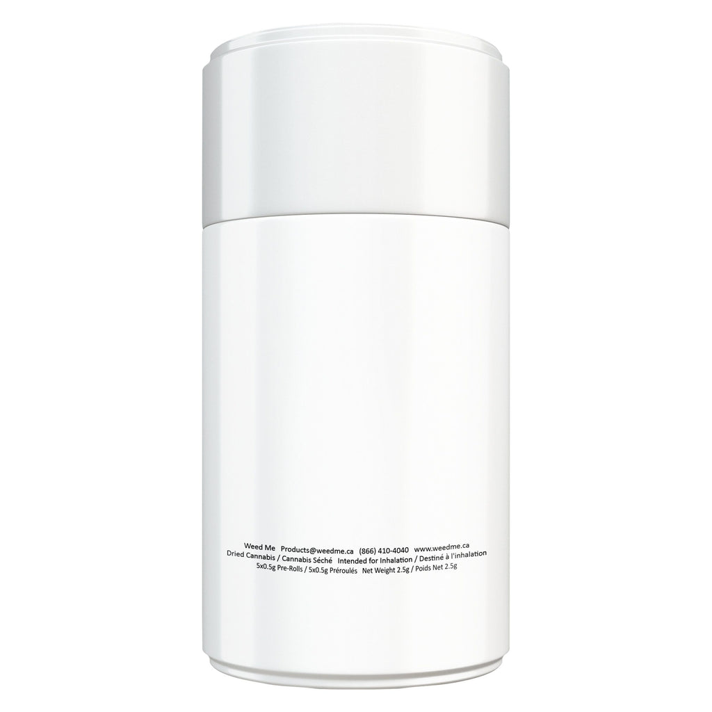 Préroulé Maple Rntz - 