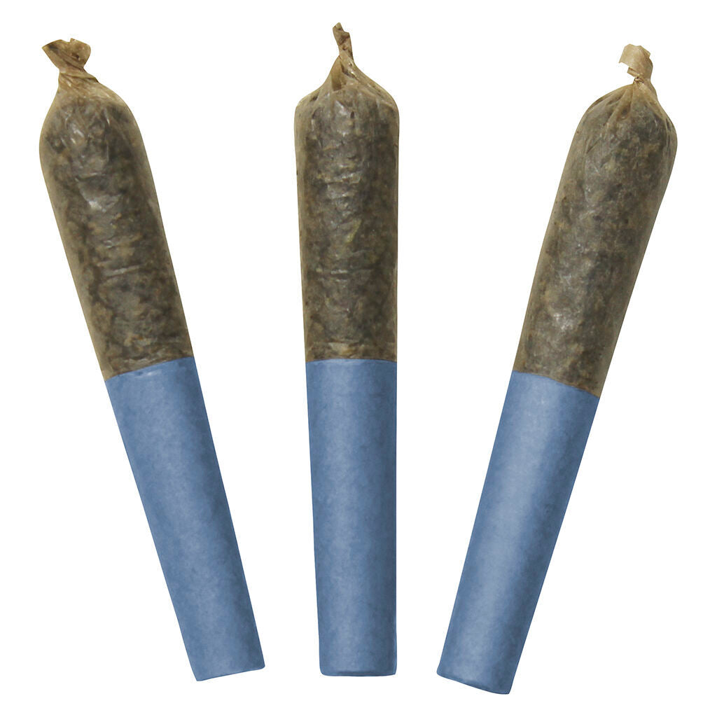 Préroulé infusé au Blue Lobster 60's+ Dbl - 