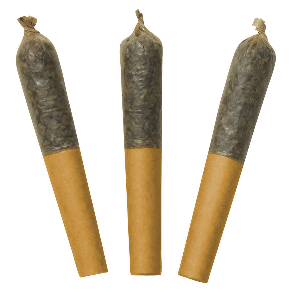 Watermelon Mojo 60's+ Dbl Infused Pre-roll - 