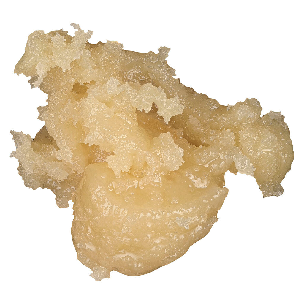 Colophane vivante Paquet saisonnier Sweet Exotics - 