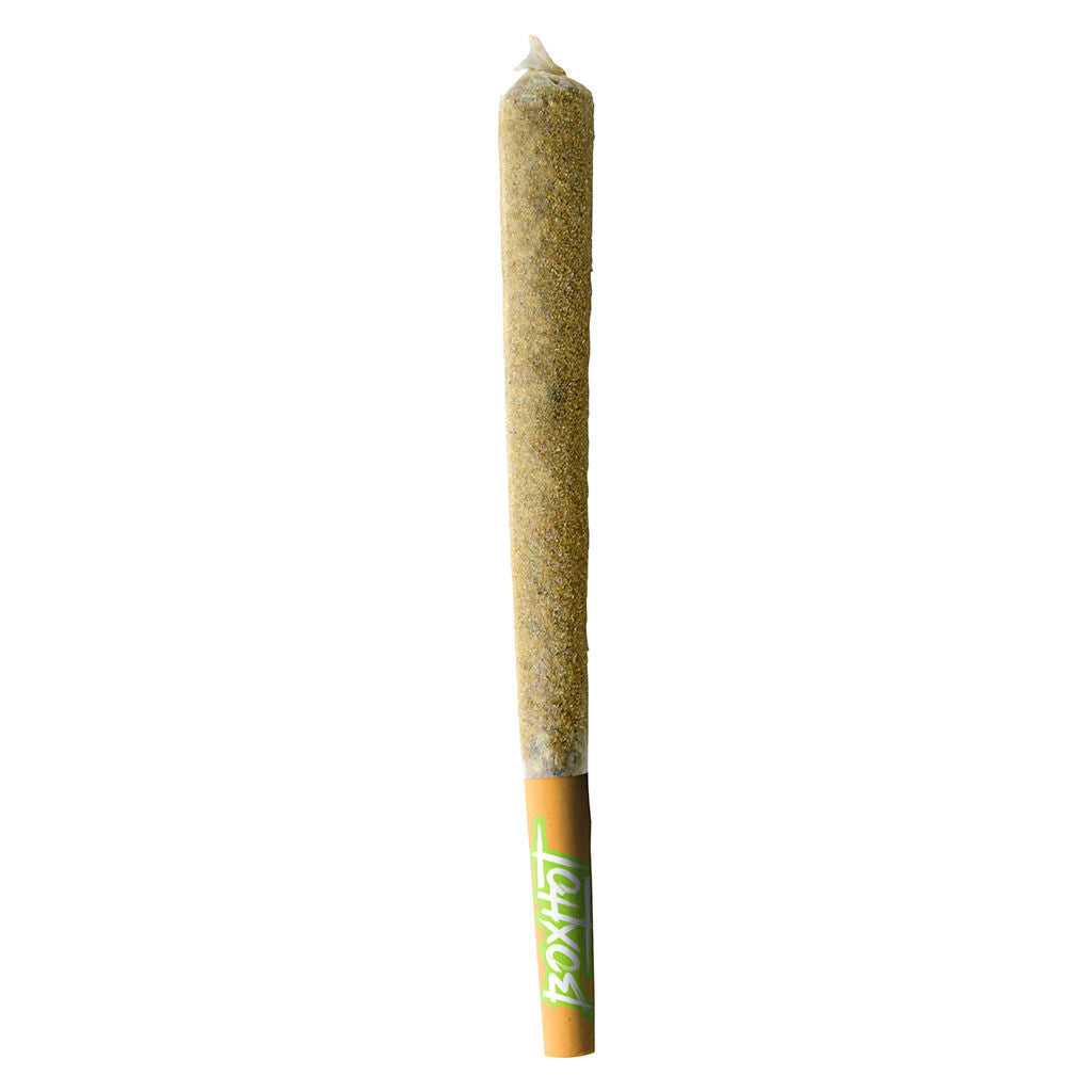 Dusties XL Retro Orange Blast Kief-Coated Infusé  Préroulé - 