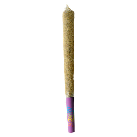 Photo Dusties XL Retro Rainbow Burst Kief-Coated Infusé  Préroulé