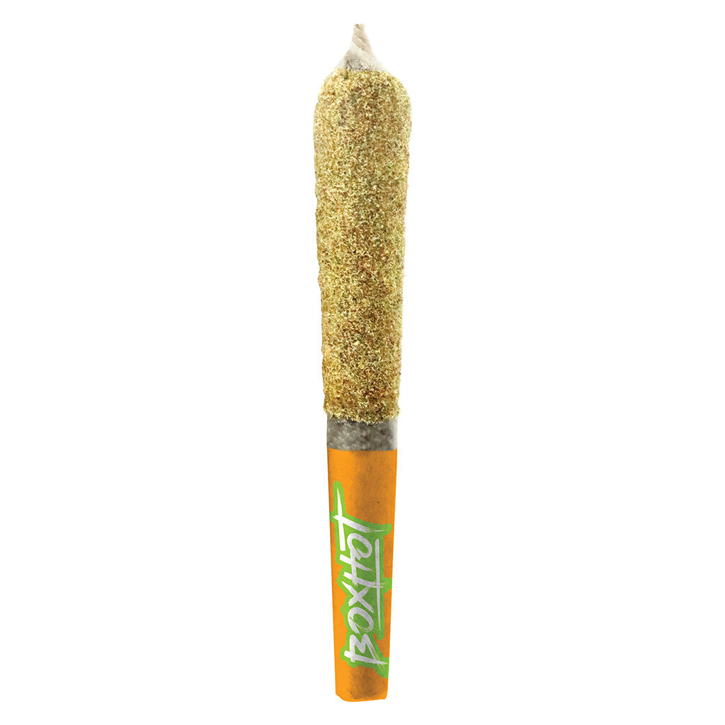 Préroulé  infusé de Kief Dusties - Orange Blast - 