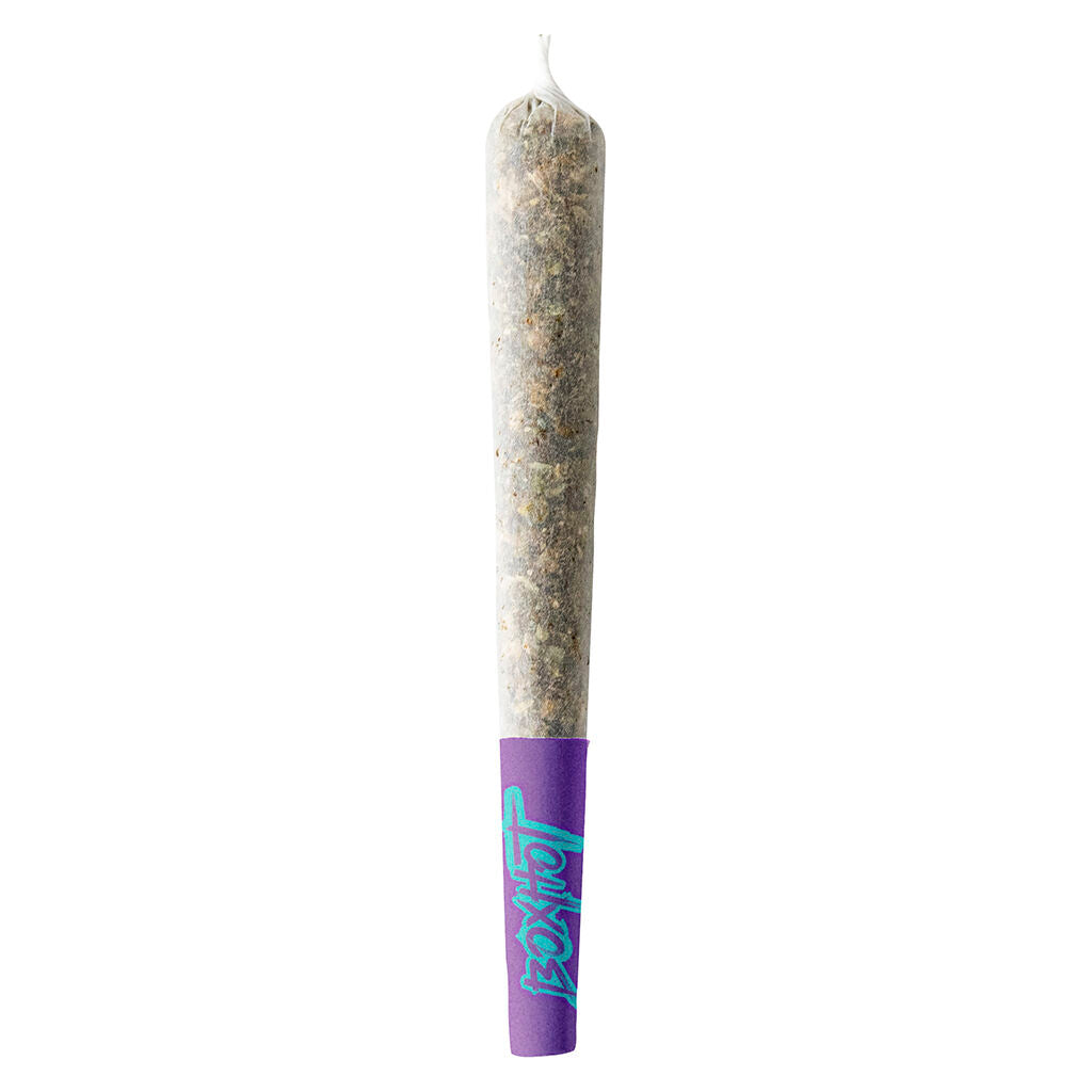Préroulé Terpedos − Velvet Grape - 