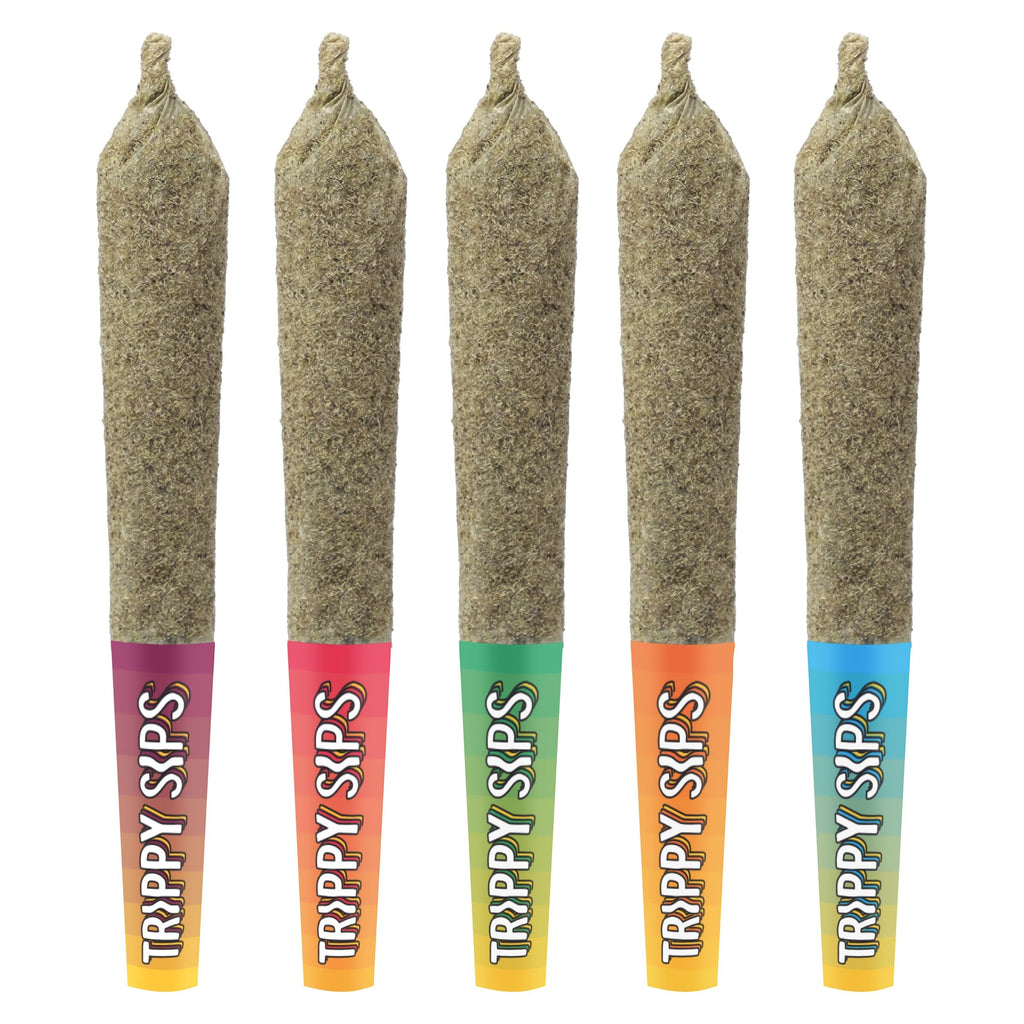 Coffret de variétés de préroulés infusés Juicy 5 - 
