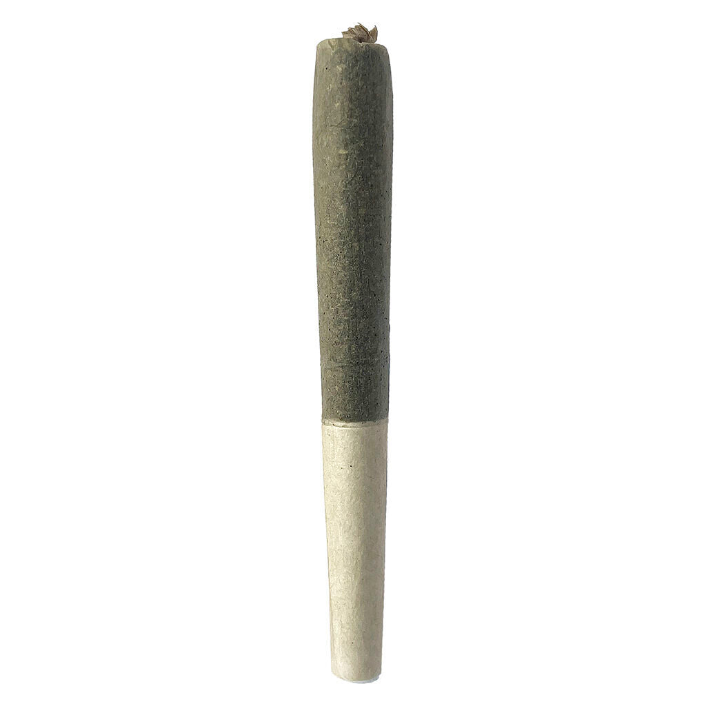 Préroulé Blue Dream - 