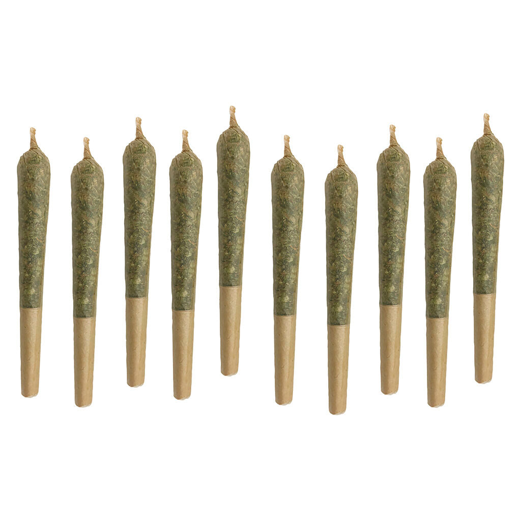 Préroulé Ville St-Pierre Sativa - 