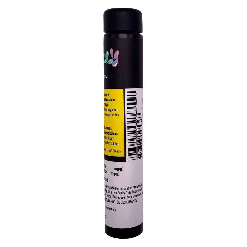 Pré-rouleau GRAM - 