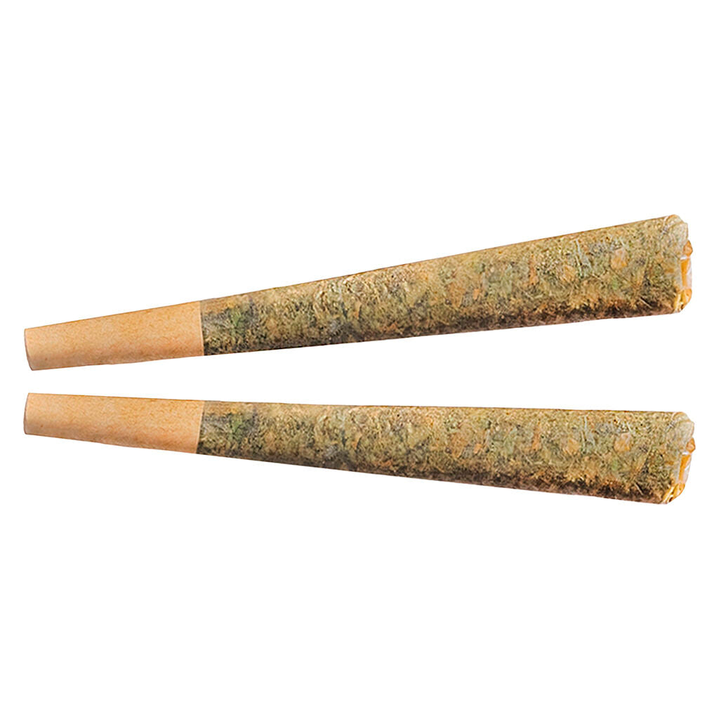 Préroulé Night Rider Indica - 