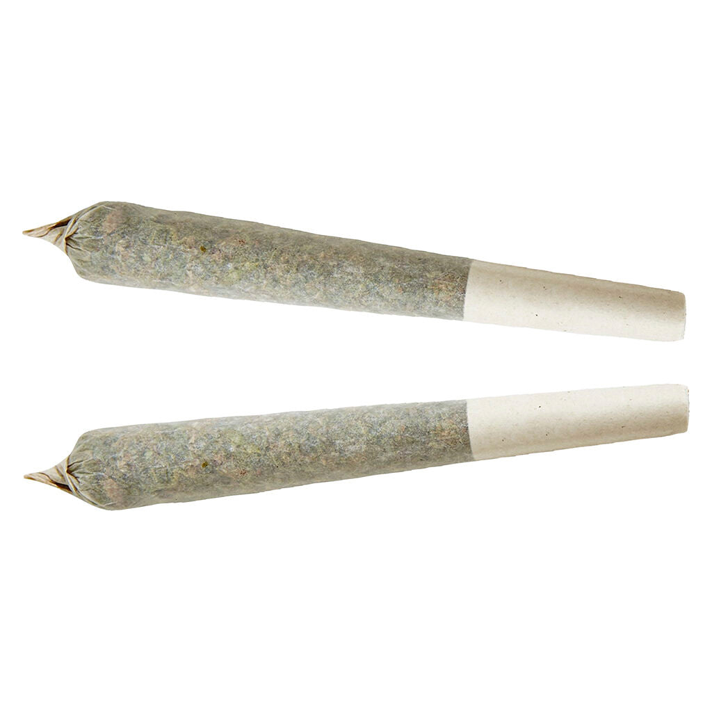 Préroulé Sativa - 