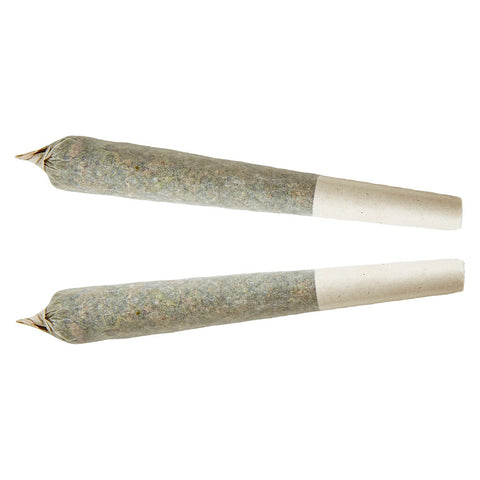 Photo Préroulé Sativa