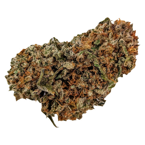 Photo Mullet Rotating Sativa