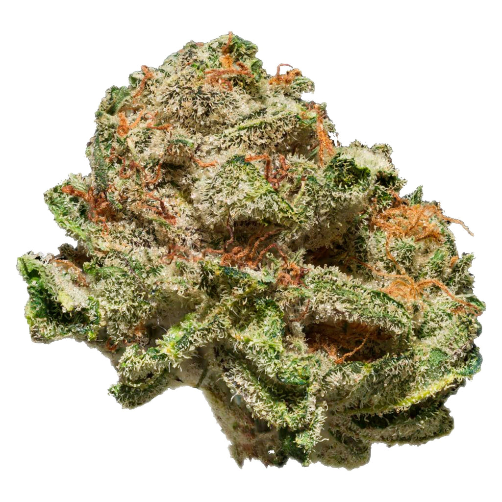 Terp N' Tine - 