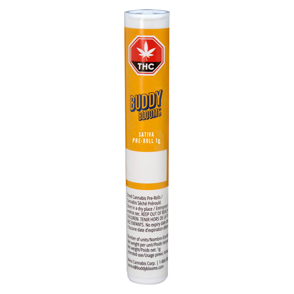 Préroulé Sativa - 
