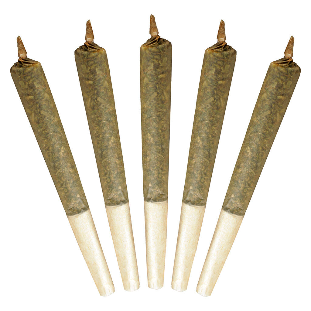 Préroulé Big Buddy Indica - 